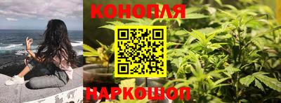 шишки Владивосток