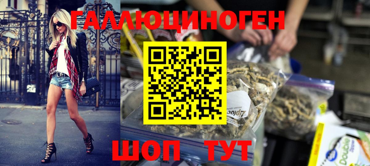 Псилоцибиновые грибы GOLDEN TEACHER Барнаул